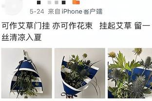 罗马诺否认英格兰考虑埃迪-豪：没有任何讨论，后者只想专注纽卡